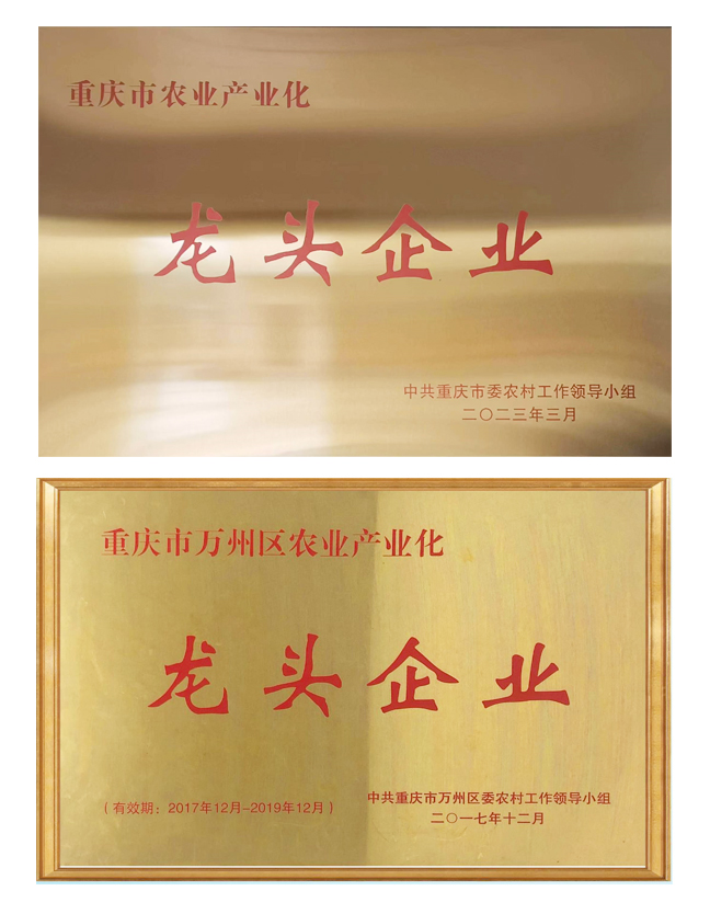 獲得區(qū)級龍頭企業(yè)稱號